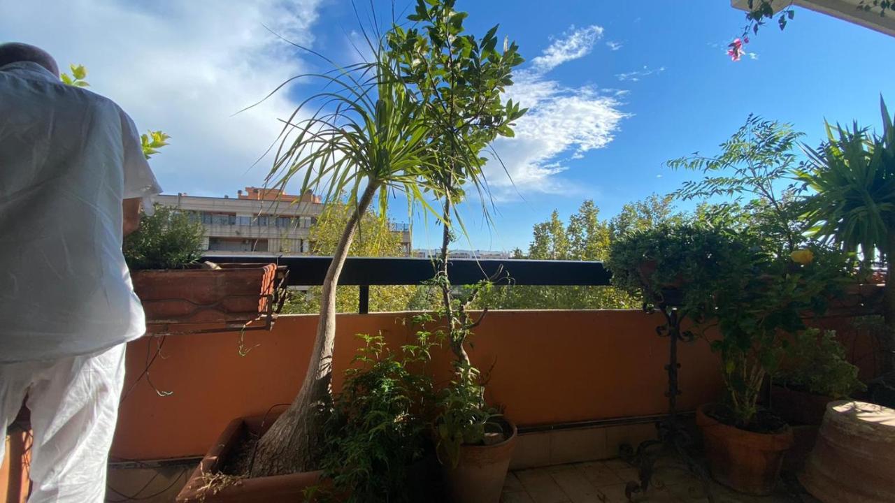 Ospiti Da Sergio - Rome — Foto 3